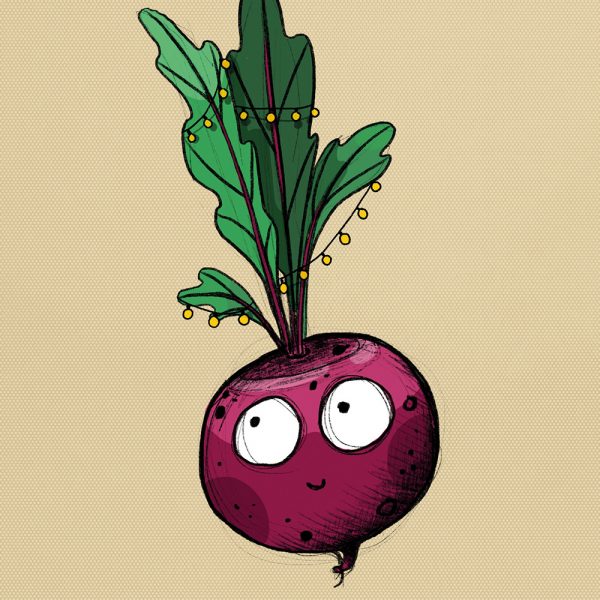 A cute beetroot illustration
